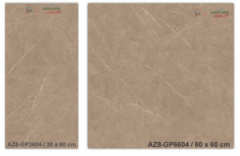 Gạch lát 60x60 men bóng Arizona AZ8-GP6604