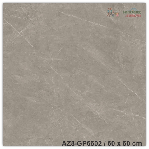 Gạch lát 60x60 men bóng Arizona AZ8-GP6602