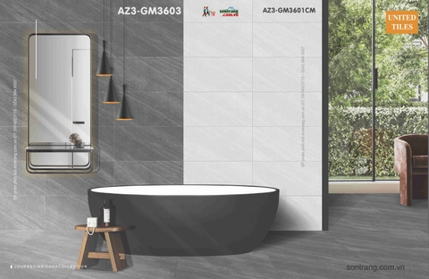 Gạch ốp 30x60 Eurotile Viglacera: Arizona AZ3-GM3602