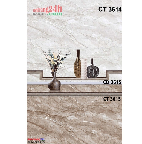 Gạch ốp theo bộ VS MIKADO 30X60 CT3615