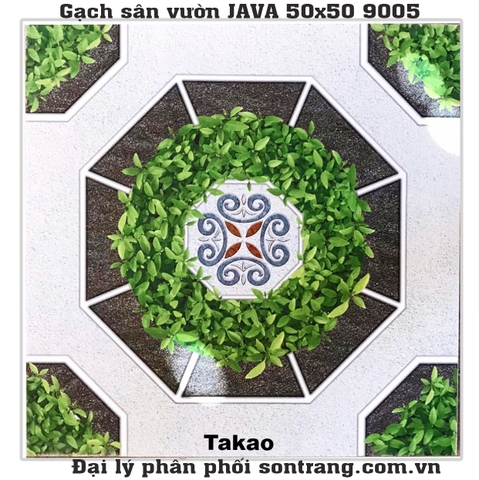 Gạch sân vườn 50x50 TAKAO - JAVA 9005