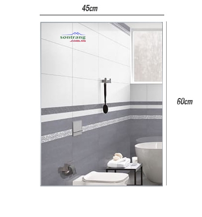 Gương soi giá rẻ 45x60
