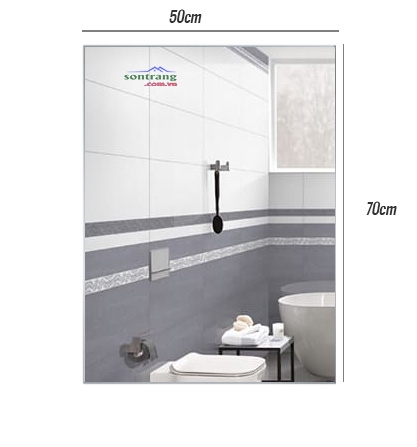 Gương soi giá rẻ 50x70
