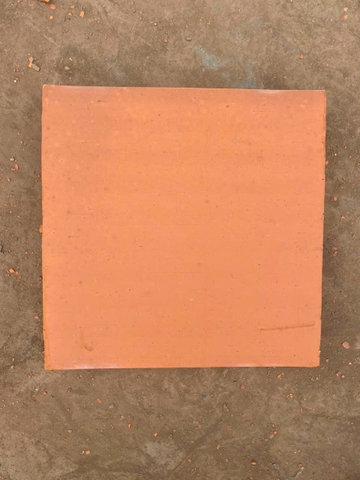 Gạch lá nem chống nóng Viglacera KT 30x30