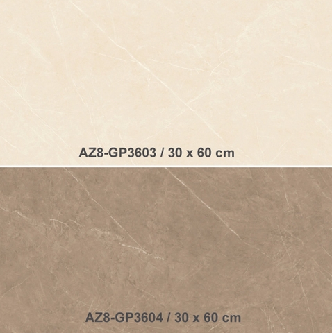 Gạch ốp 30x60 men bóng Arizona AZ8-GP3603