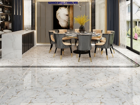 Gạch lát VINCERA 60x60 8066