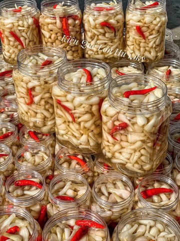 KIỆU QUẾ ĐƯỜNG (Hũ lớn 1,1Kg)