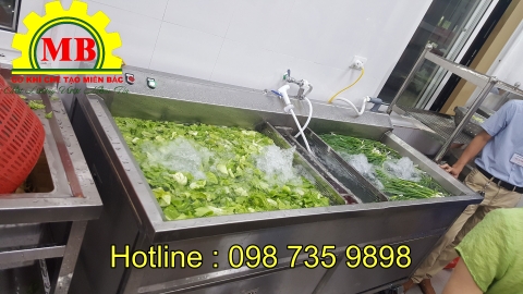 Máy rửa rau củ quả công nghiệp