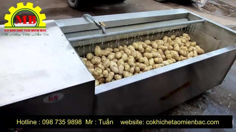 Máy gọt rửa khoai tây tự động