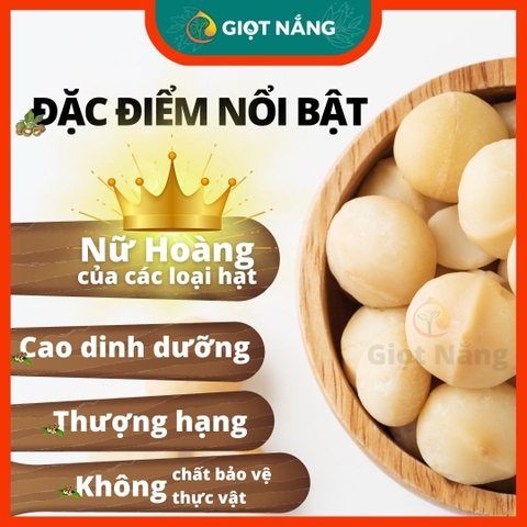 Hạt Macca nứt vỏ Đăk Lăk Size A sấy lạnh giàu dinh dưỡng không hôi dầu 500g từ Nông sản GIỌT NẮNG