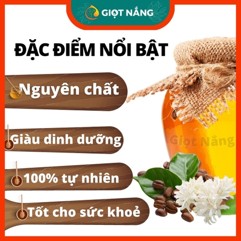 Mật ong nguyên chất Đăk Lăk, mật ong hoa cà phê chứa nhiều dinh dưỡng tốt thể tích 01 lít từ GIỌT NẮNG COFFEE