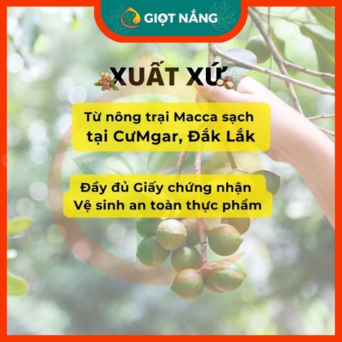 Hạt Macca nứt vỏ Đăk Lăk Size A sấy lạnh giàu dinh dưỡng không hôi dầu 500g từ Nông sản GIỌT NẮNG