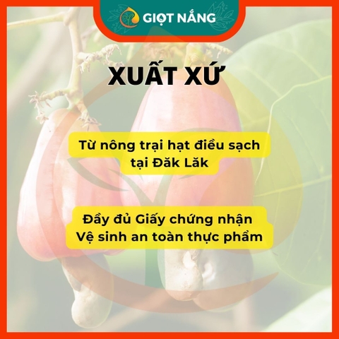 Hạt điều sấy chín - Vỡ đôi - nguyên vị không muối không lụa từ Nông sản Giọt Nắng