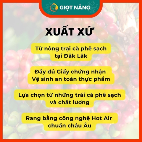 Cà phê Arabica Cầu Đất, cafe rang xay nguyên chất, cà phê phin ngon vị đắng dịu chua thanh thơm nồng từ GIỌT NẮNG COFFEE