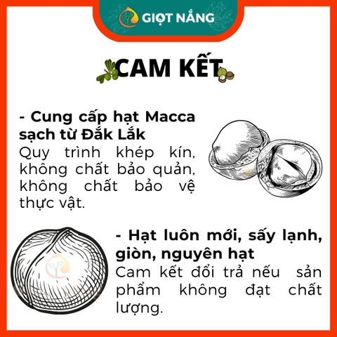 Nhân Hạt Macca Đăk Lăk sấy lạnh giàu dinh dưỡng không hôi dầu 500g từ Nông sản GIỌT NẮNG