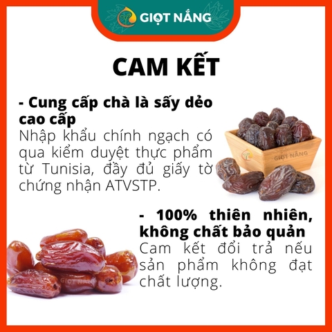 Chà là sấy lạnh dẻo ngon không đường tạo ngọt cho sữa hạt ăn vặt mẹ bầu ăn kiêng từ Nông sản Giọt Nắng