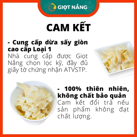 Dừa khô sấy giòn cao cấp LOẠI 1 ít đường bổ sung dinh dưỡng đồ ăn healthy hộp 300g từ Nông Sản Giọt Nắng