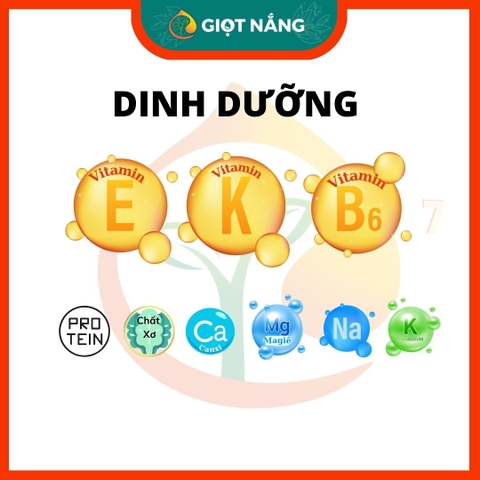 Hạt điều sấy chín - Vỡ đôi - nguyên vị không muối không lụa từ Nông sản Giọt Nắng