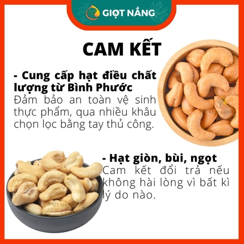 Hạt Điều Rang Muối nguyên lụa, Hạt dinh dưỡng chất lượng Thơm Ngon Giòn Bùi Bổ Dưỡng hộp 500g từ nông sản GIỌT NẮNG