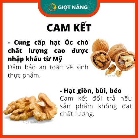 Hạt Óc chó sấy chín các loại Vàng Đỏ siêu dinh dưỡng cho bà bầu và bé nhập khẩu Mỹ từ Nông sản Giọt Nắng