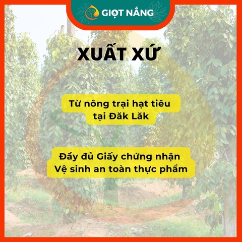 Hạt tiêu chín đỏ Đăk Lăk nguyên hạt cay nồng to tròn thơm hạt chắc từ Nông sản Giọt Nắng