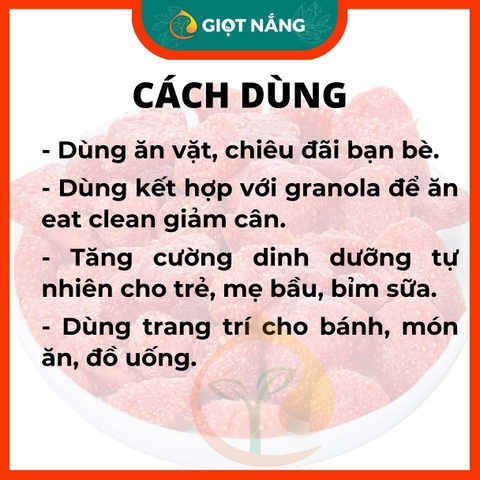 Nam việt quốc sấy dẻo dinh dưỡng không đường loại 1 premium 250g trái cây sấy dẻo từ Nông sản Giọt Nắng