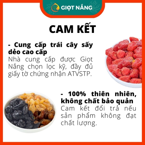 Nam việt quốc sấy dẻo dinh dưỡng không đường loại 1 premium 250g trái cây sấy dẻo từ Nông sản Giọt Nắng