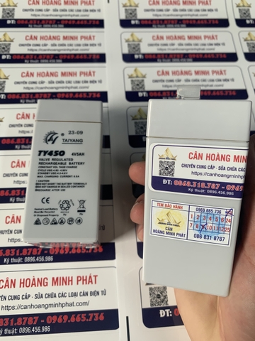 Pin (Ắc Quy) Cân Điện Tử 4V/5AH