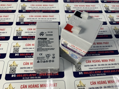 Pin (Ắc Quy) Cân Điện Tử 4V/5AH