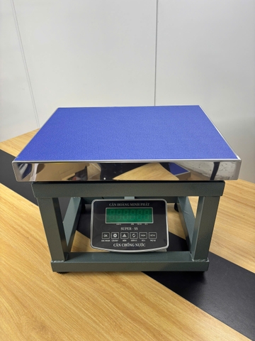 Cân Ghế Điện Tử 150kg SUPER-SS | Chống Nước, Chốt Số, LED Xanh Chính Xác