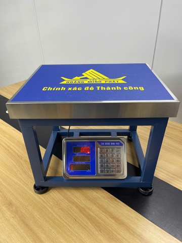 Cân ghế điện tử 300KG HM6 - CÂN HOÀNG MINH PHÁT