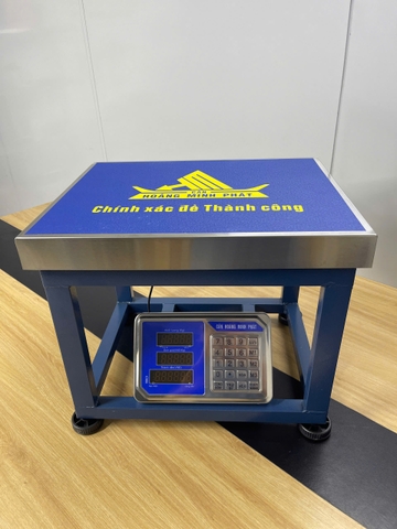 Cân ghế điện tử 350KG HM6 - CÂN HOÀNG MINH PHÁT