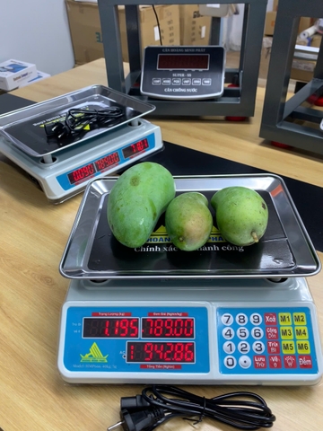 Cân điện tử 40KG tính tiền HMP666-40KG - PHÍM TIẾNG VIỆT - Thương Hiệu CÂN HOÀNG MINH PHÁT