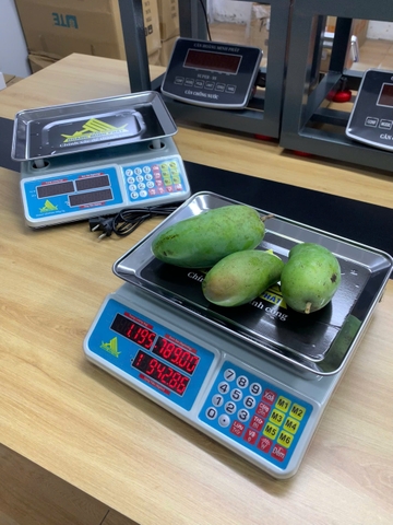 Cân điện tử 40KG tính tiền HMP666-40KG - PHÍM TIẾNG VIỆT - Thương Hiệu CÂN HOÀNG MINH PHÁT