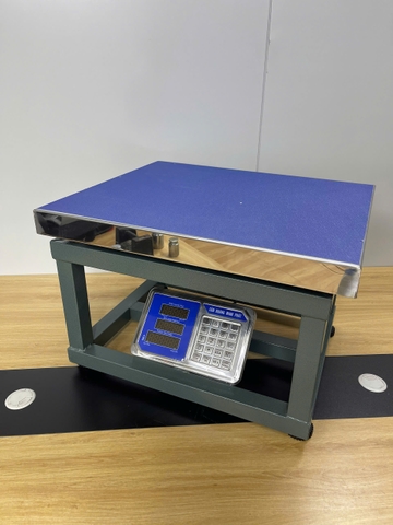 Cân ghế điện tử 500kg HM6 thương hiệu CÂN HOÀNG MINH PHÁT