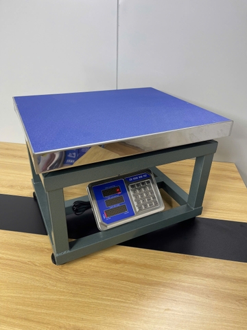 Cân ghế điện tử 500kg HM6 thương hiệu CÂN HOÀNG MINH PHÁT