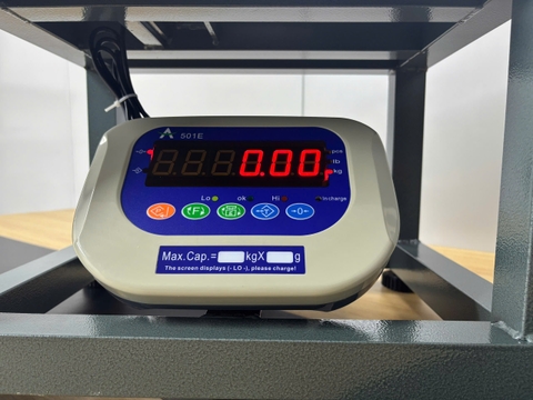 Cân Ghế Điện Tử 100kg A501E | Cân Hàng Hóa, Nông Sản Chính Xác Cao