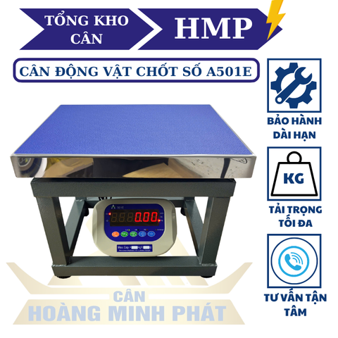 Cân Ghế Điện Tử 300kg A501E | Cân Hàng Hóa, Nông Sản Chính Xác Cao