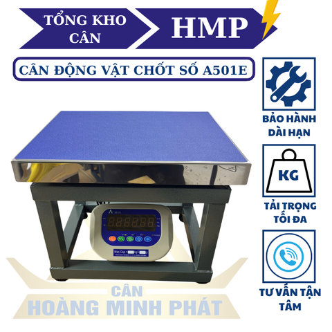 Cân Ghế Điện Tử 350kg A501E | Cân Hàng Hóa, Nông Sản Chính Xác Cao