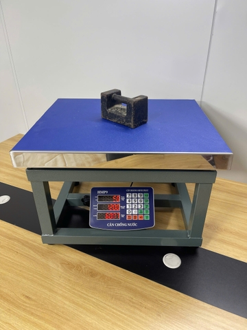 Cân ghế điện tử 500KG Thương hiệu CÂN HOÀNG MINH PHÁT - HMP9