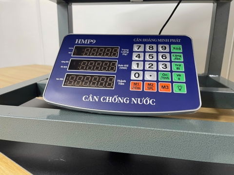 Cân ghế điện tử 500KG Thương hiệu CÂN HOÀNG MINH PHÁT - HMP9