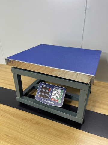 Cân ghế điện tử 500KG Thương hiệu CÂN HOÀNG MINH PHÁT - HMP9