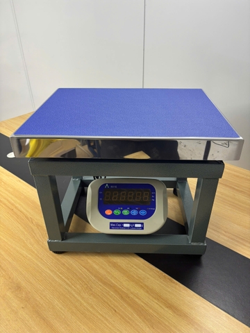 Cân Ghế Điện Tử 300kg A501E | Cân Hàng Hóa, Nông Sản Chính Xác Cao