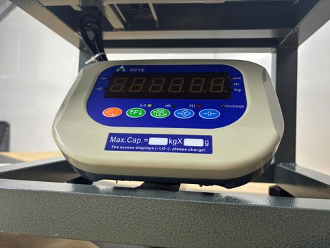 Cân Ghế Điện Tử 200kg A501E | Cân Hàng Hóa, Nông Sản Chính Xác Cao