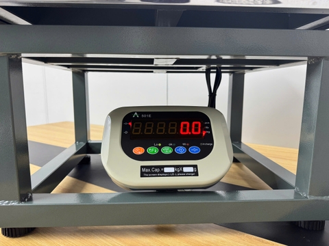 Cân Ghế Điện Tử 500kg A501E | Cân Hàng Hóa, Nông Sản Chính Xác Cao