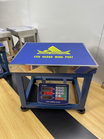 Cân ghế điện tử 300kg HMP9 Thương Hiệu CÂN HOÀNG MINH PHÁT. Cân tính tiền, chống nước. Cân Chốt Số - Tiếng việt