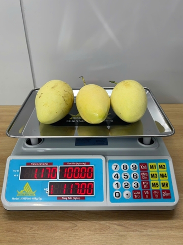 Cân điện tử 40KG tính tiền HMP666-40KG - PHÍM TIẾNG VIỆT - Thương Hiệu CÂN HOÀNG MINH PHÁT
