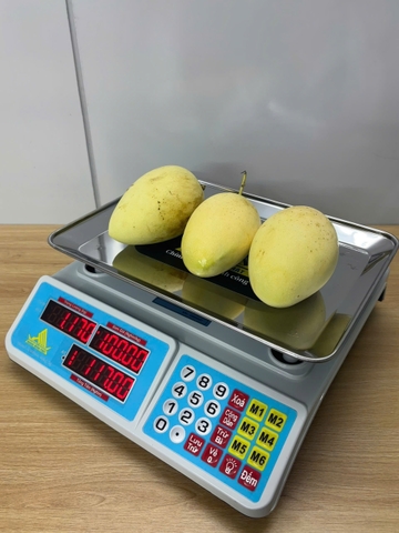 Cân điện tử 40KG tính tiền HMP666-40KG - PHÍM TIẾNG VIỆT - Thương Hiệu CÂN HOÀNG MINH PHÁT