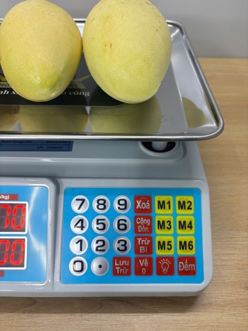 Cân điện tử 40KG tính tiền HMP666-40KG - PHÍM TIẾNG VIỆT - Thương Hiệu CÂN HOÀNG MINH PHÁT