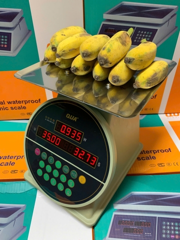 Cân Điện Tử Tính Tiền 30kg Q1 | Cân Bán Hàng, Thực Phẩm Chính Xác Cao